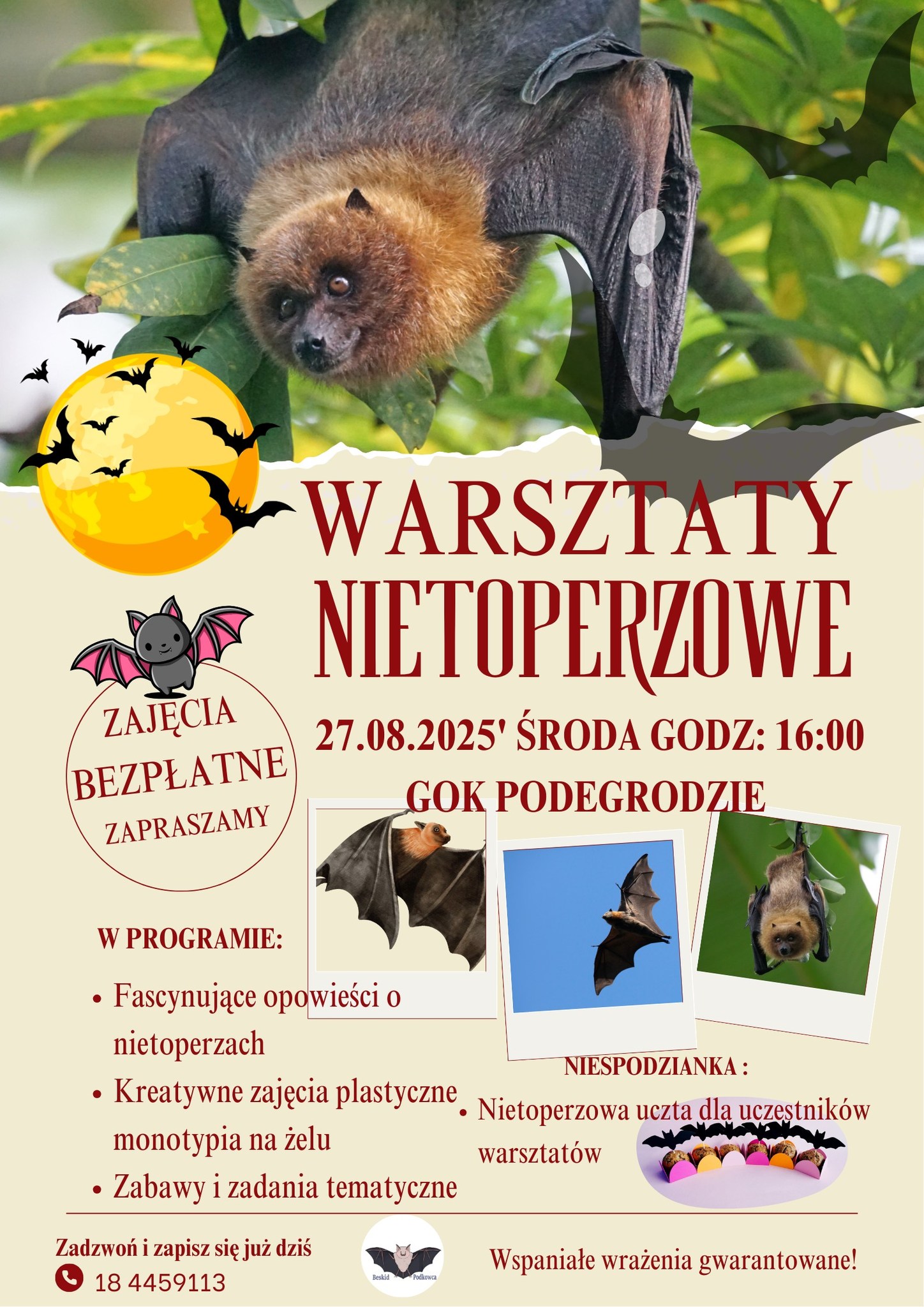 Warsztaty nietoperzowe
