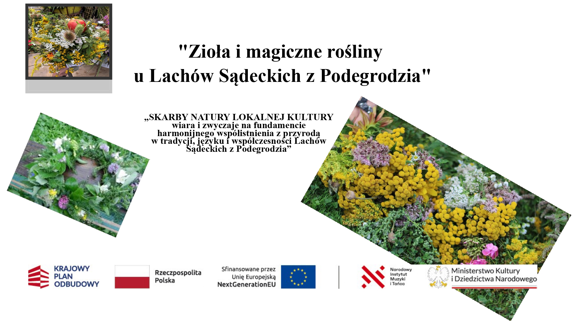 Zioła i magiczne rośliny u Lachów Sądeckich z Podegrodzia